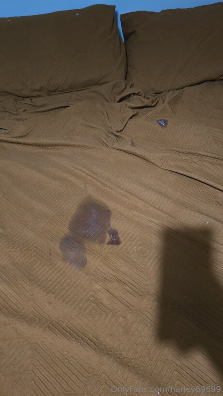 Harley69699 nette pornostar archiv