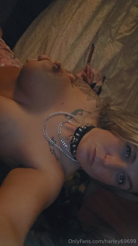 Harley69699 erwachsene erotische foto