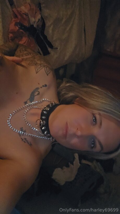 Harley69699 top sexy archiv