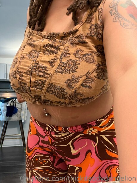 Thickdaddydandelion exklusive kostenlose bilder