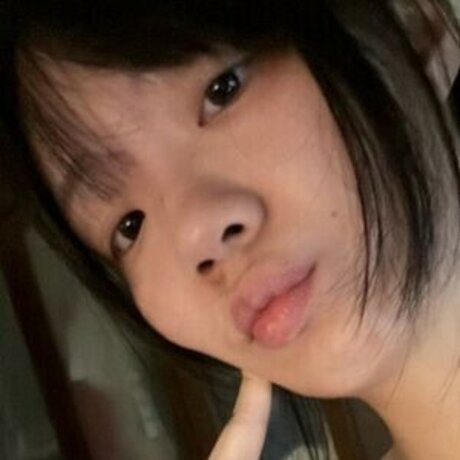 cyerripaws exklusive nette galerie