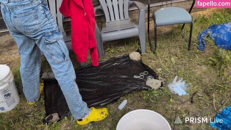 mollige fick-onlyfans erotische schöne galerie