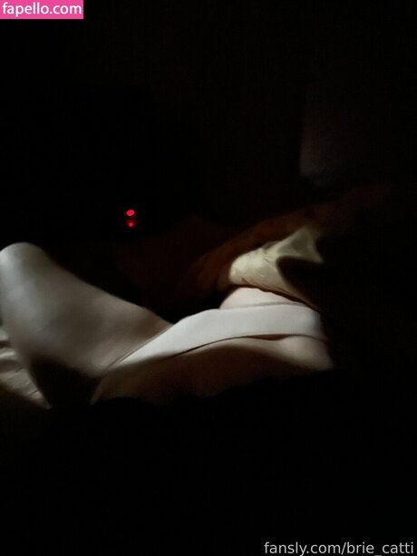 Brie cattii erwachsene nette bilder