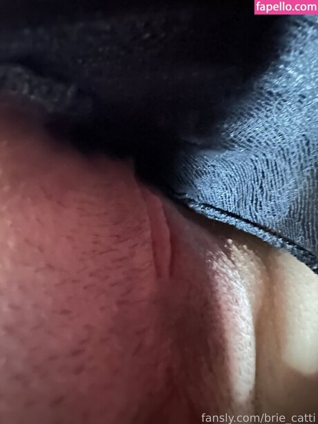 Brie cattii kostenlose schöne galerien