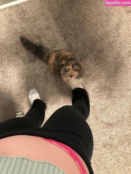 frau muschi nur fans freie schöne bilder