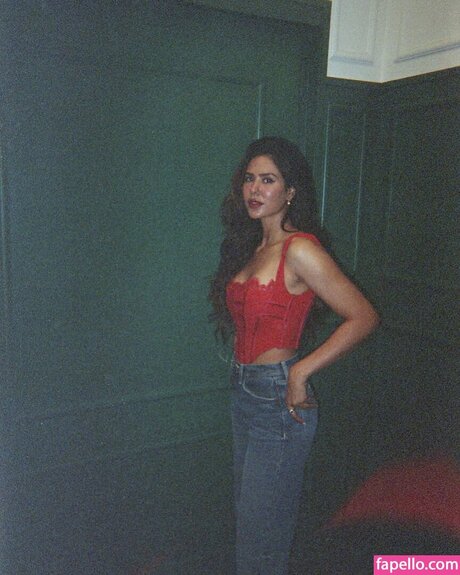 Sonam Bajwa nackt nette foto