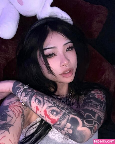 eggspringroll perfekte hd fotos