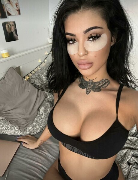 Bondrix freie exklusive archiv