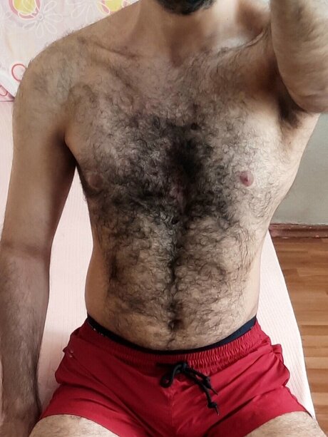 Xabbi exklusive pornostar bild