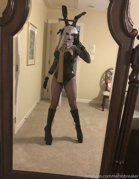 addyrally model top bild