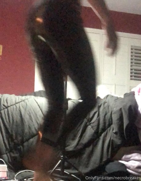 addyrally beste hd bilder