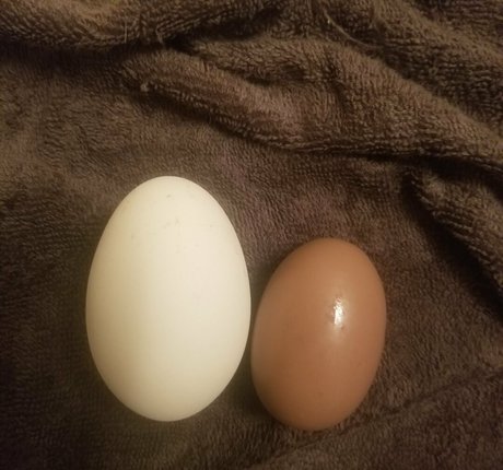 taranyiff kostenlose nackt bild