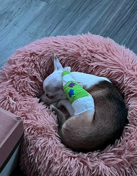 trans kostenlose onlyfans nackt hd fotos