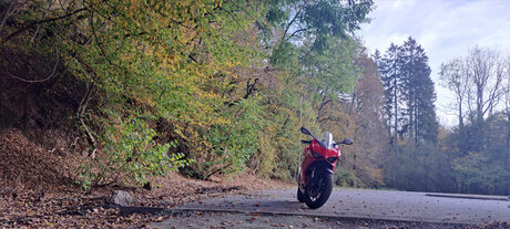 Tonio model freie fotos