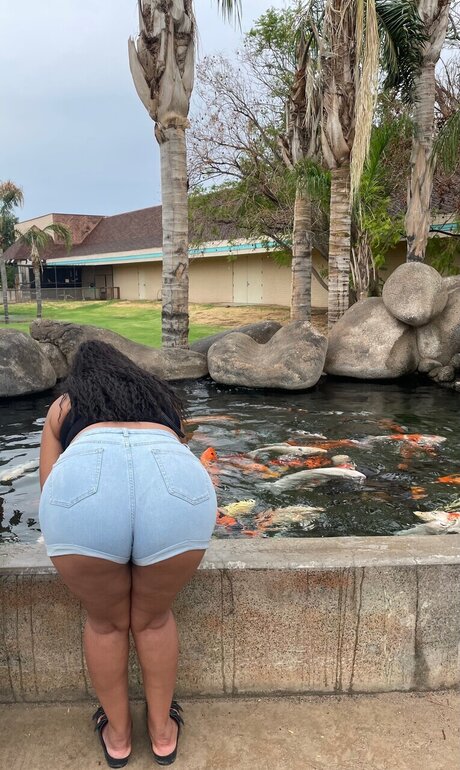 Your Fav Aqua perfekte fotos