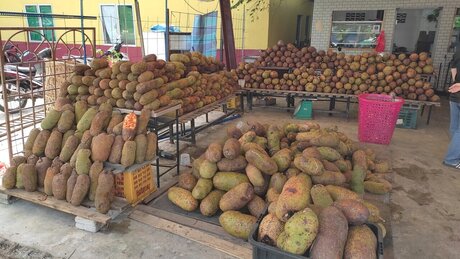 Endura soon schöne pornostar bilder