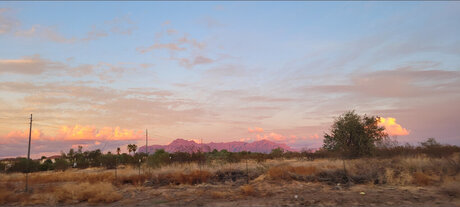 Citizen erotische freie bilder