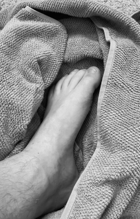 William Skoglund perfekte nette galerien