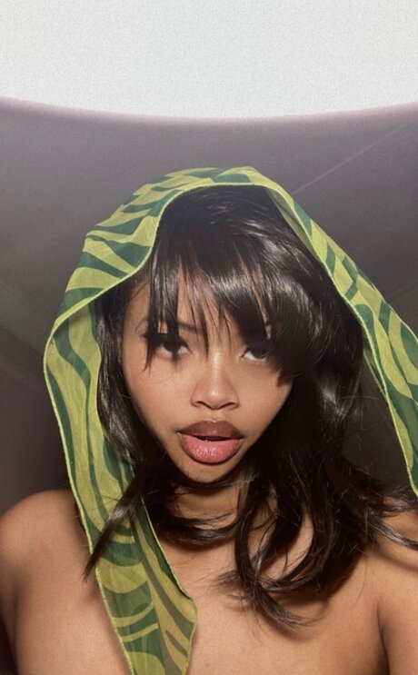 F anassi top hübsche archiv