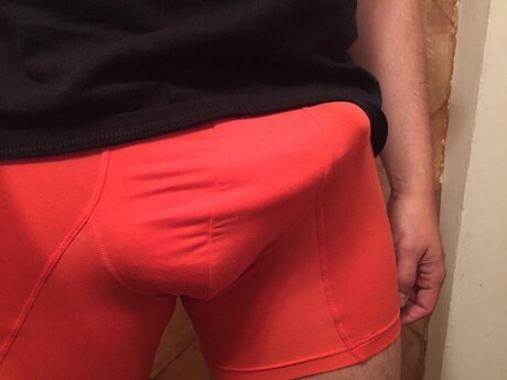 Sugar Bear hd kostenlose fotos