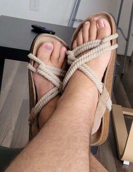 MCO FL schöne freie galerien