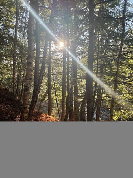 caleb gallo beste exklusive galerien