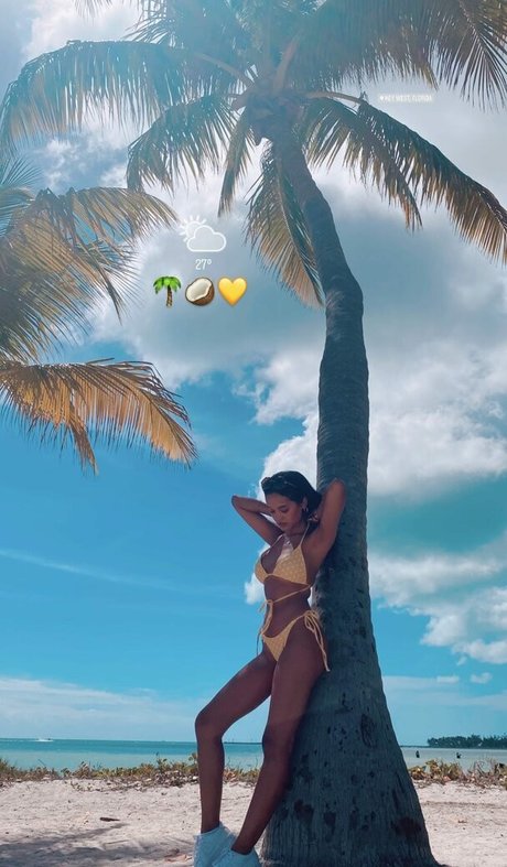 basketball-onlyfans beste freie foto