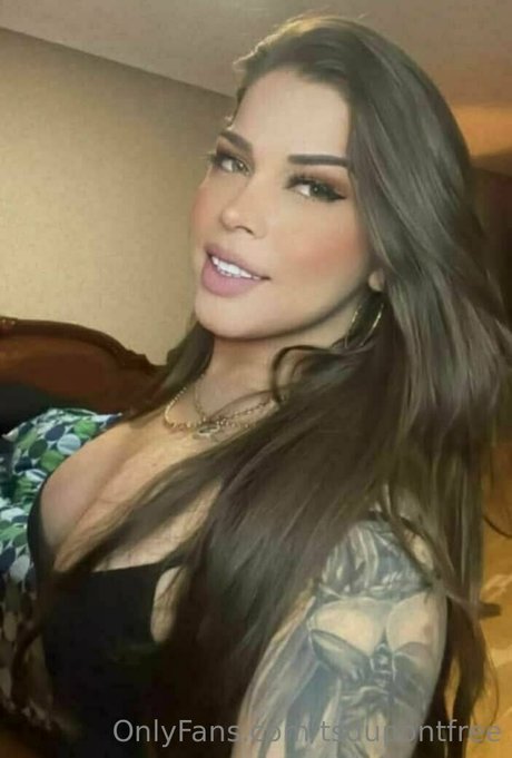 tsdupontfree schöne hd galerien