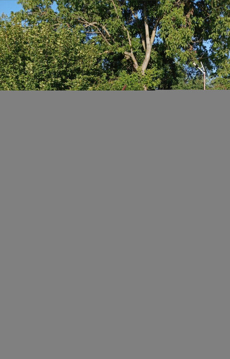 bomba_ beste porno galerie