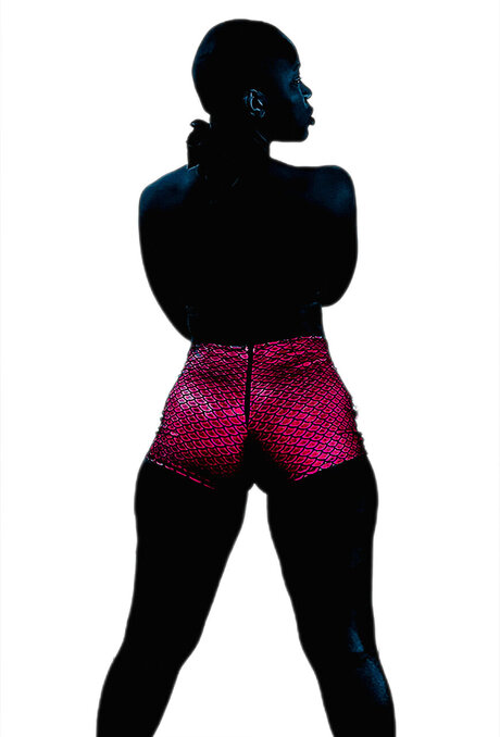 Blue Chicken Max kunst xxx galerie