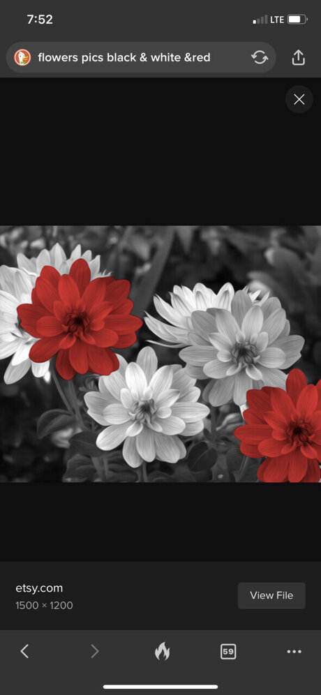 Reginalynn akt bilder