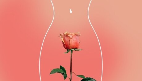 BabyT_ kostenlose galerie