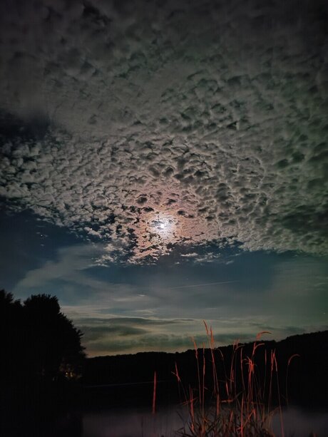 Sunshine Marie top foto