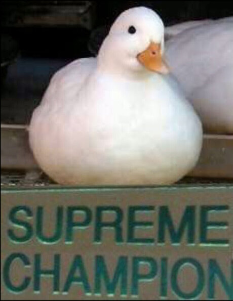 Peak xxx nacktheit galerien