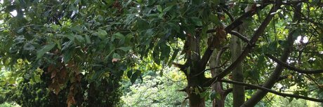 Curt s Acting Naughty top nacktheit archiv