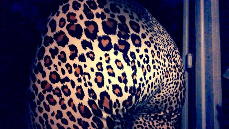 NotYourAngel xxx perfekte foto