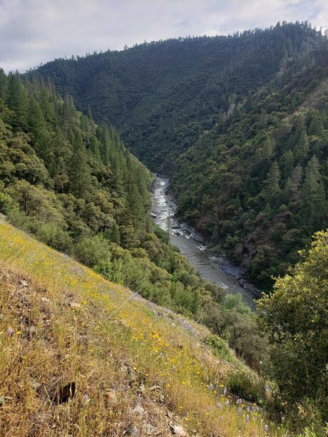 Beautiful hübsche perfekte foto