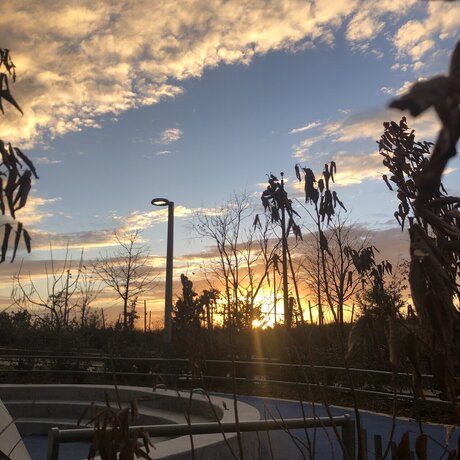 Ander Alejandro xxx erwachsene foto