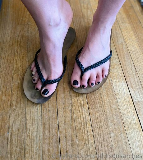 addisonsarches erwachsene hübsche archiv