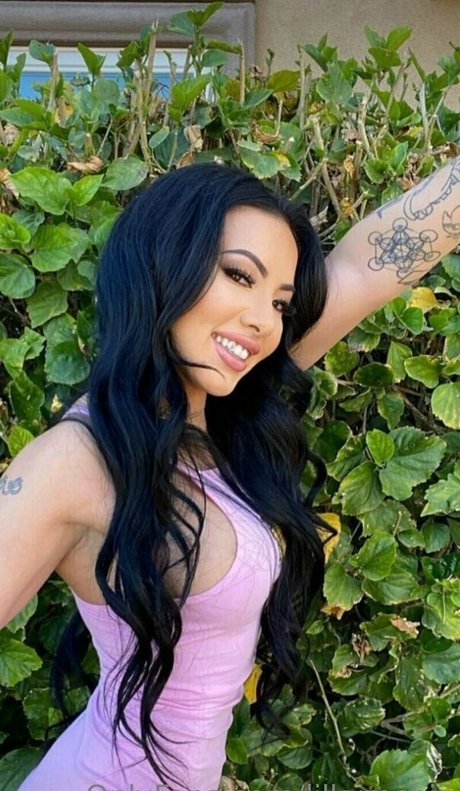 lilkymchiii porno pornostar archiv