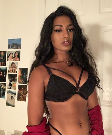 xjaffy kunst nette galerie