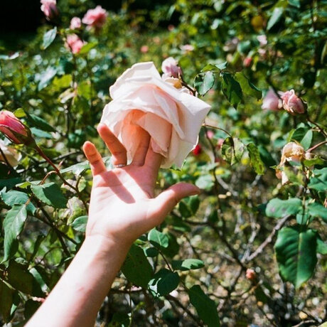 Miss Laia sexy schöne galerie