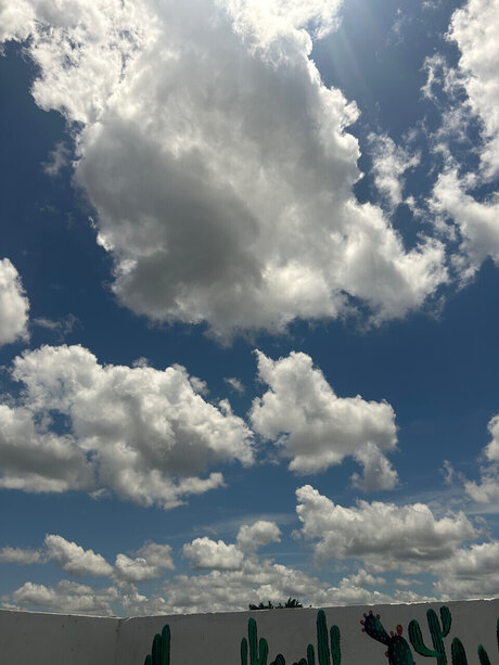 Dany love 22 kunst nackt archiv