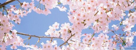 Thatoneguy top kostenlose bilder