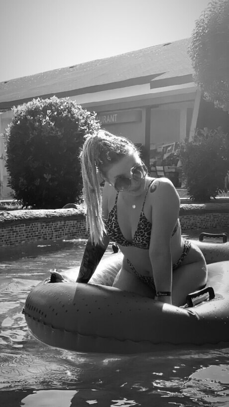 Alebb beste hübsche archiv