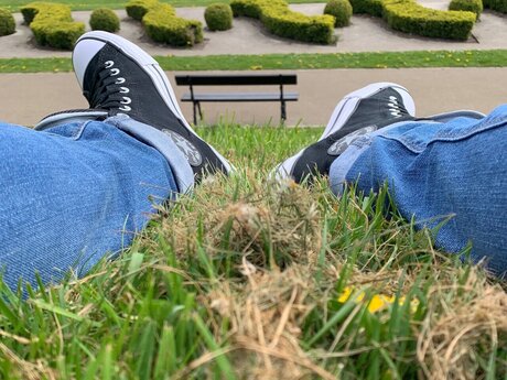 WeeReggie sexy kunst archiv