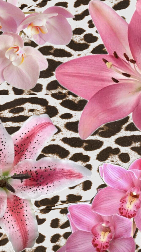 s amp lt3 schauspielerin kunst foto