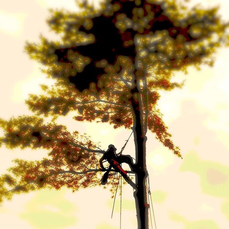 Sayitaintso kostenlose schöne bilder