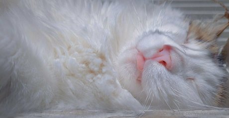 jukacrasoves erwachsene sexy bilder