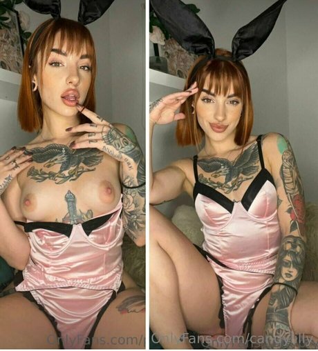 candylilly perfekte pornostar foto